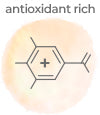 Antioxidant icon